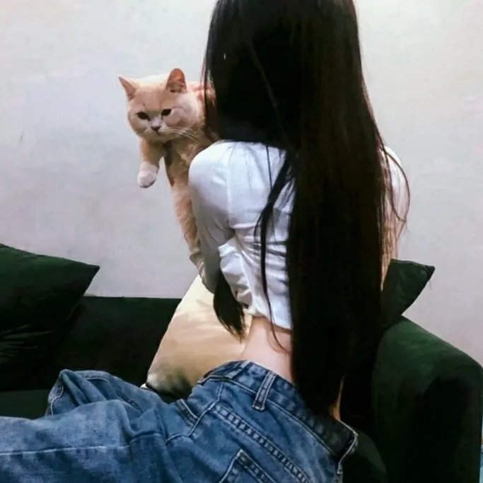 黑乔伊